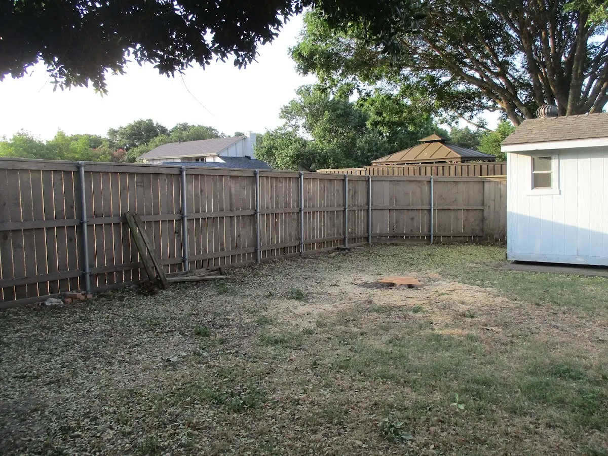 Cleared yard after professional tree removal in Mallie